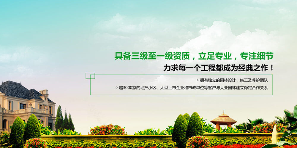 具备三级至一级资质立足专业专注细节